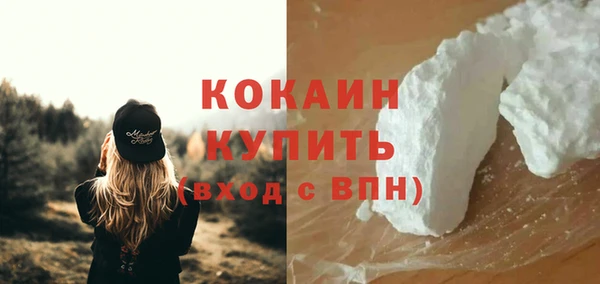 гидра Протвино