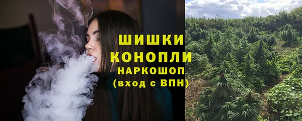 тгк Балахна