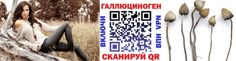 Псилоцибиновые грибы прущие грибы  наркотики  Шатура 